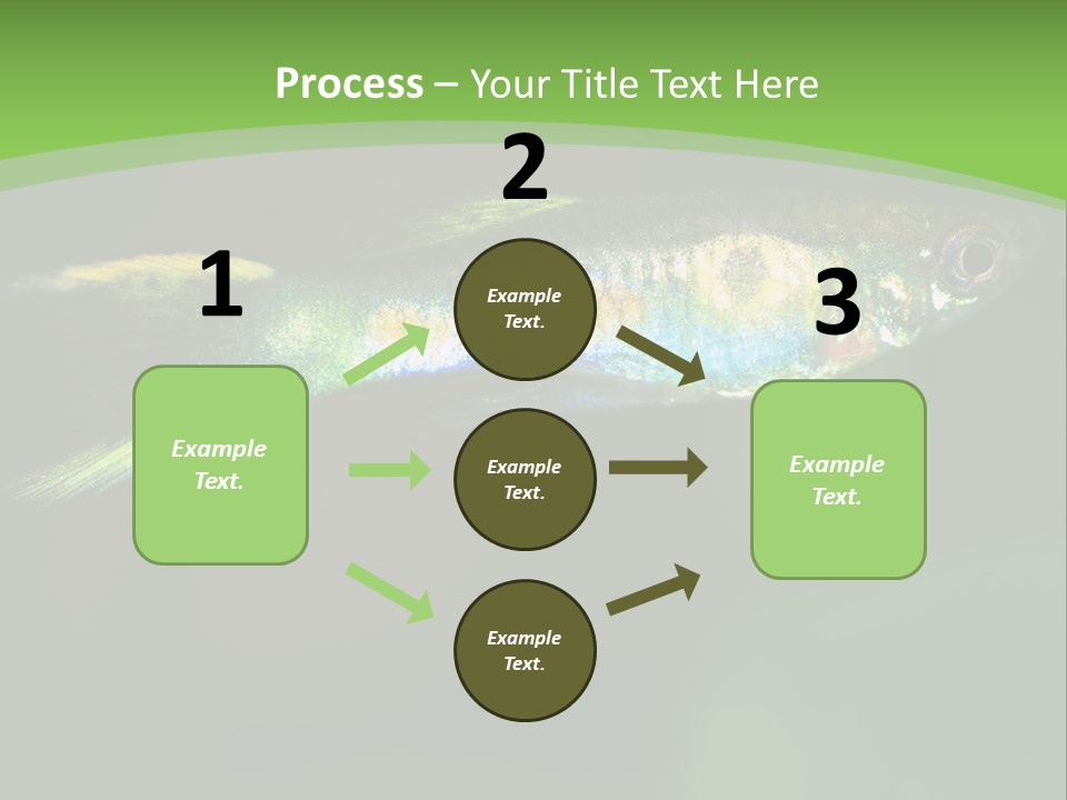Wild Poeciliidae Endler PowerPoint Template