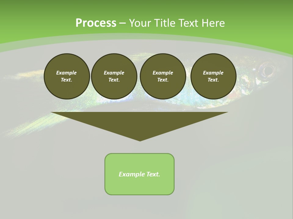 Wild Poeciliidae Endler PowerPoint Template