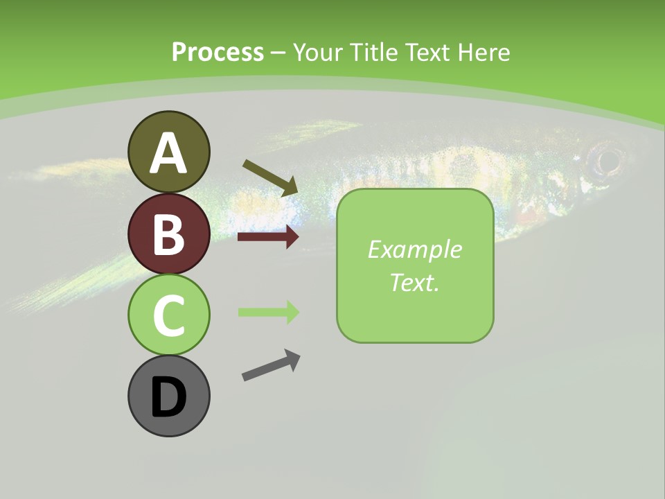 Wild Poeciliidae Endler PowerPoint Template