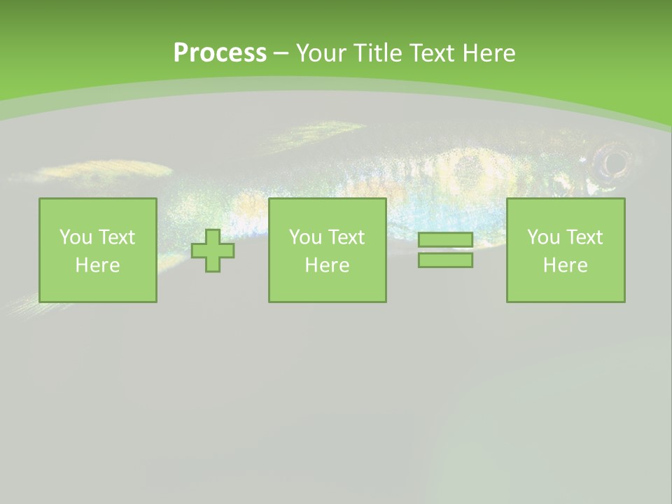 Wild Poeciliidae Endler PowerPoint Template