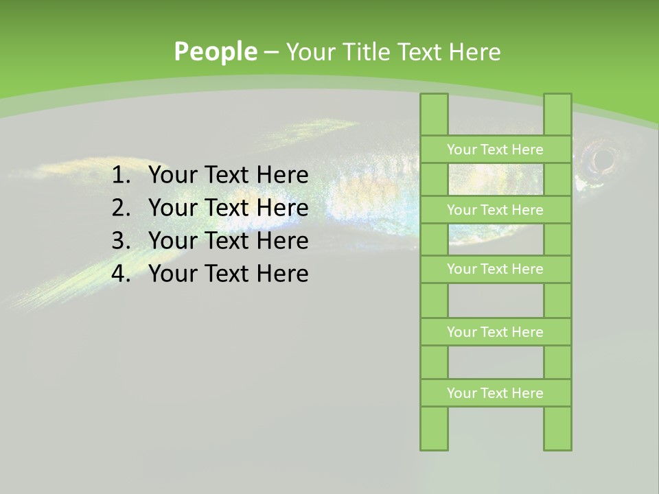 Wild Poeciliidae Endler PowerPoint Template