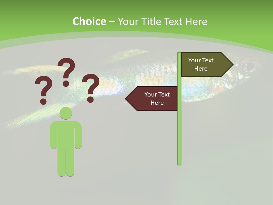 Wild Poeciliidae Endler PowerPoint Template