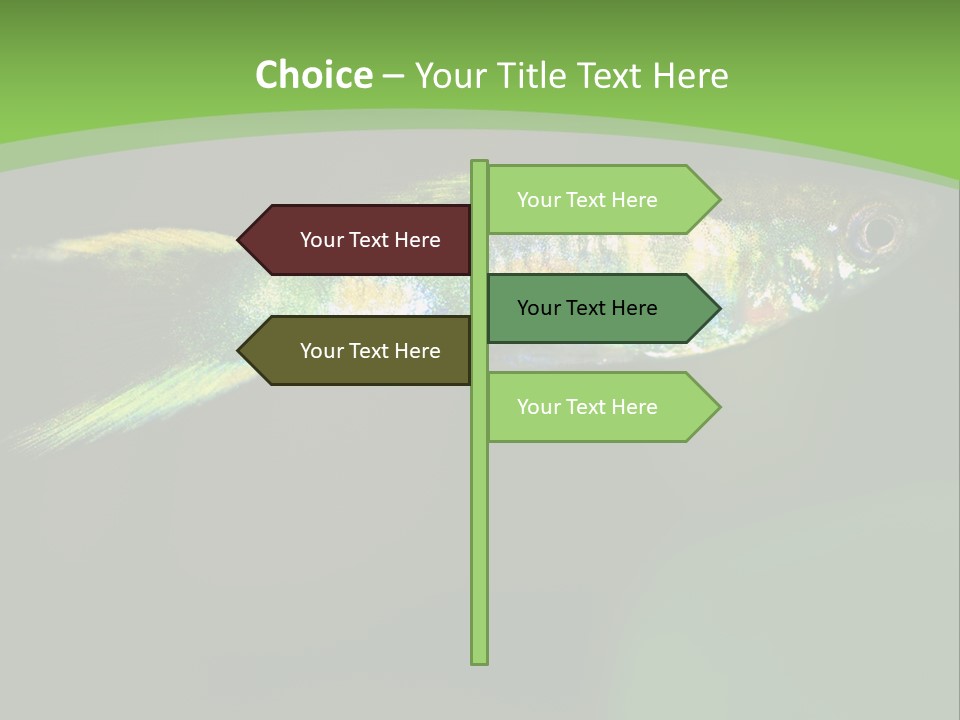 Wild Poeciliidae Endler PowerPoint Template