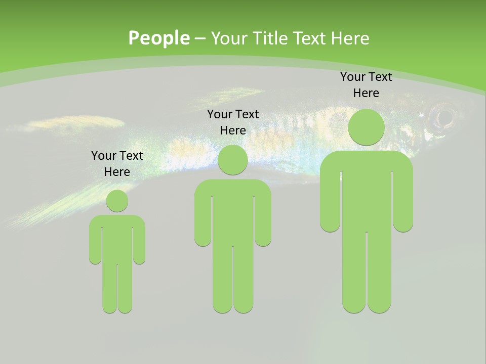 Wild Poeciliidae Endler PowerPoint Template