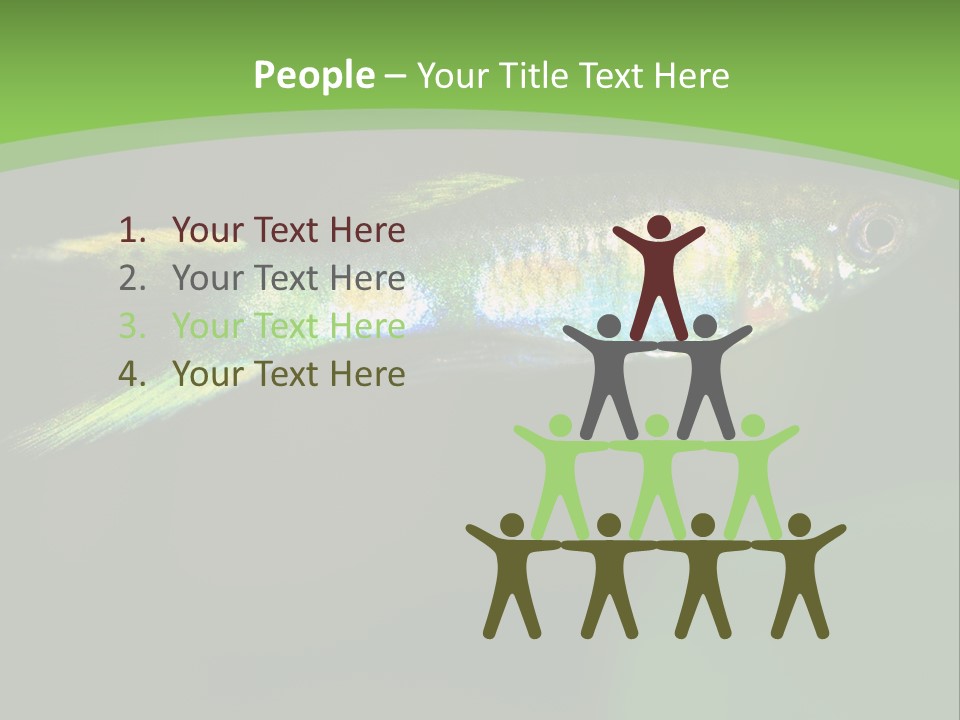 Wild Poeciliidae Endler PowerPoint Template