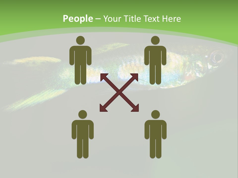 Wild Poeciliidae Endler PowerPoint Template