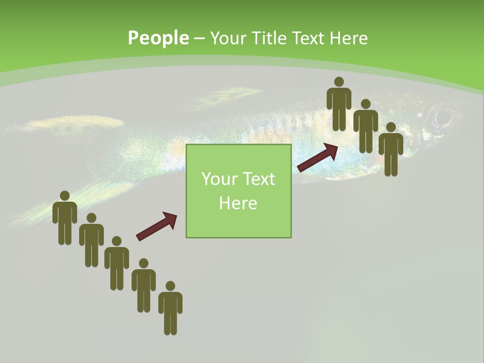 Wild Poeciliidae Endler PowerPoint Template