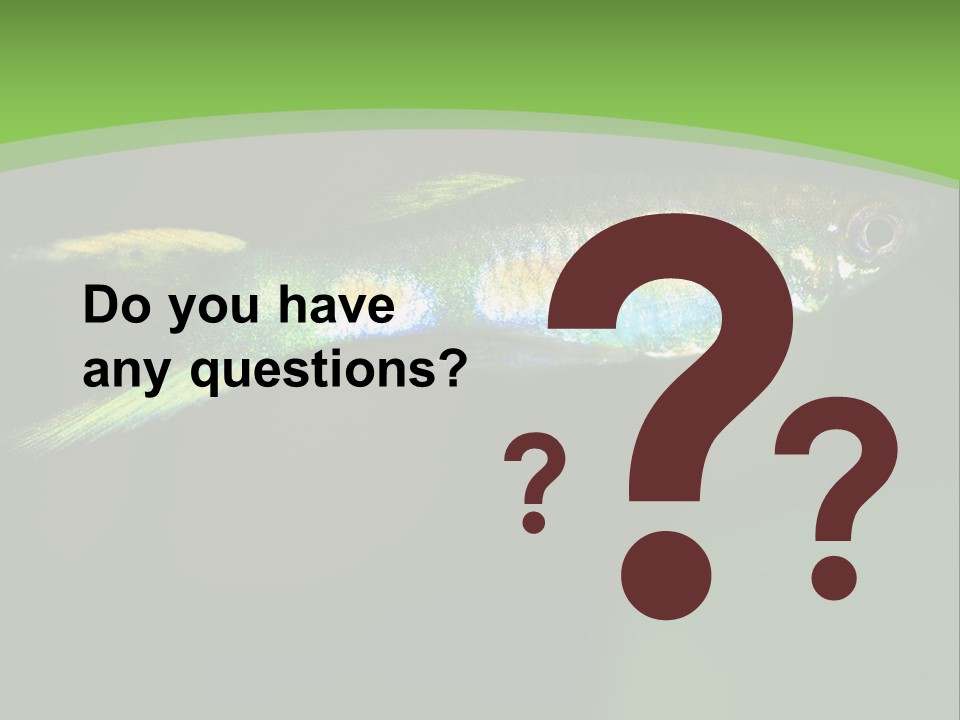 Wild Poeciliidae Endler PowerPoint Template