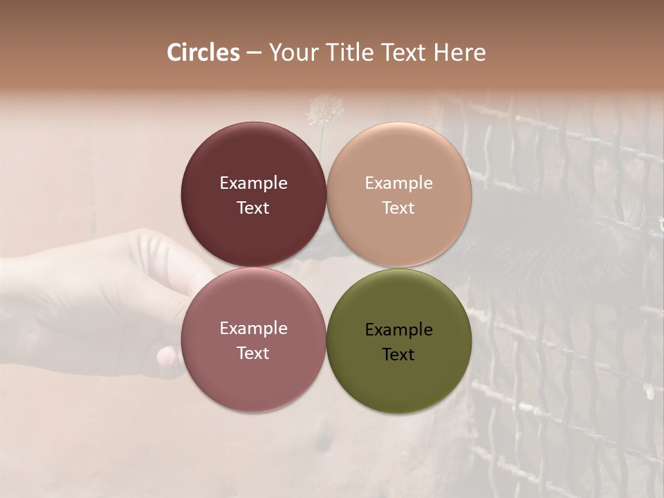 Cage Fur Confidence PowerPoint Template