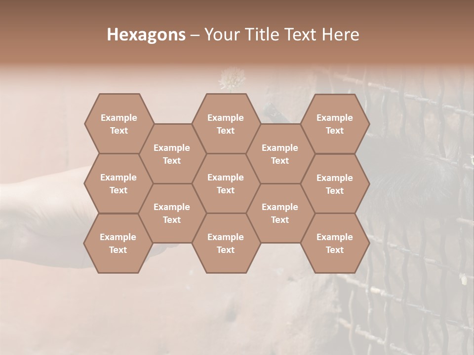 Cage Fur Confidence PowerPoint Template