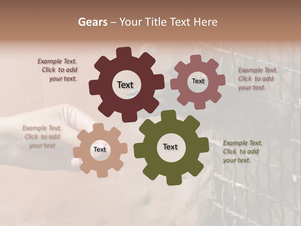 Cage Fur Confidence PowerPoint Template