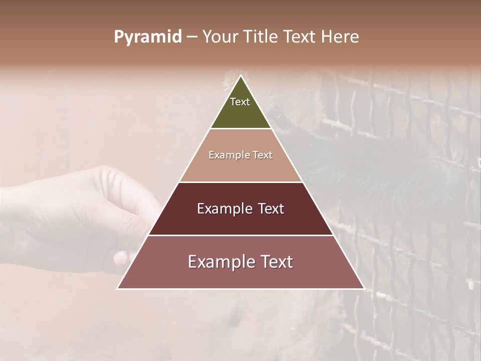 Cage Fur Confidence PowerPoint Template