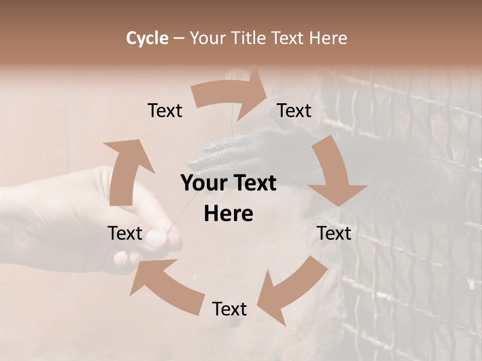 Cage Fur Confidence PowerPoint Template