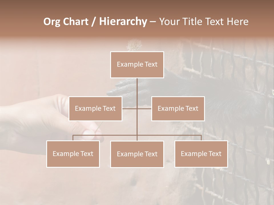 Cage Fur Confidence PowerPoint Template
