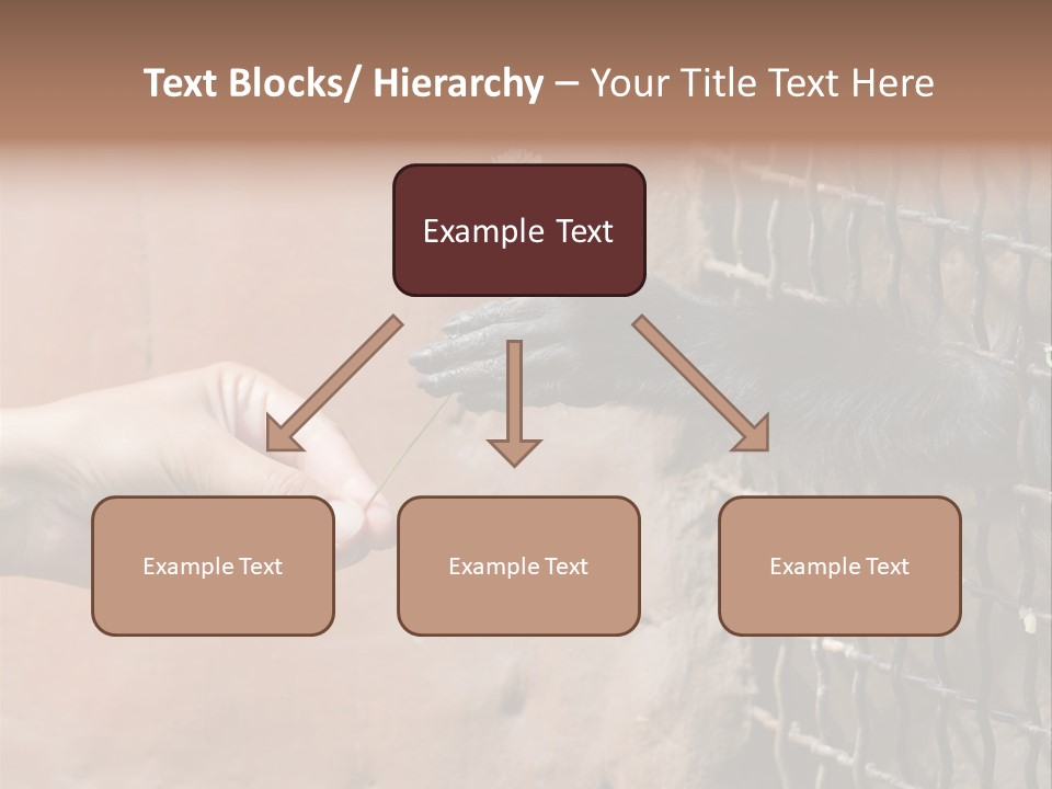 Cage Fur Confidence PowerPoint Template