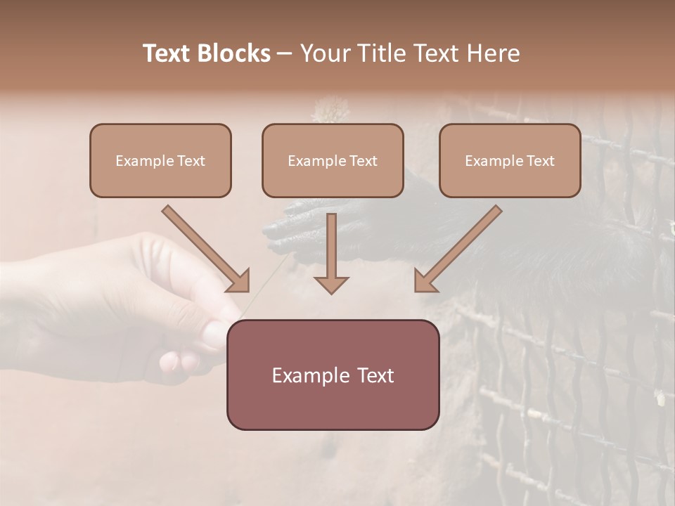 Cage Fur Confidence PowerPoint Template