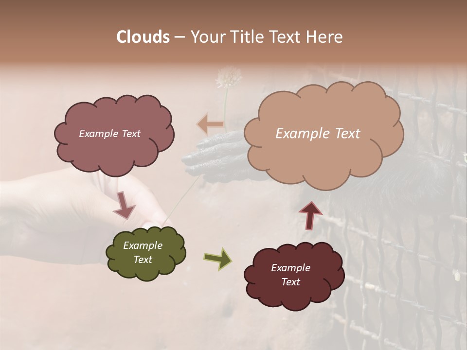 Cage Fur Confidence PowerPoint Template
