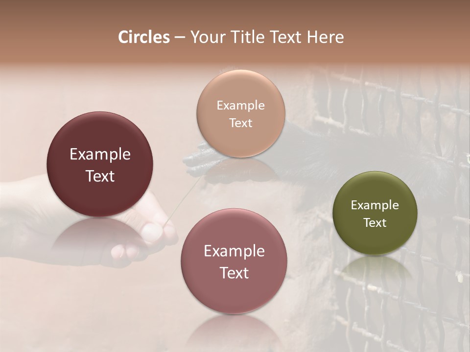 Cage Fur Confidence PowerPoint Template