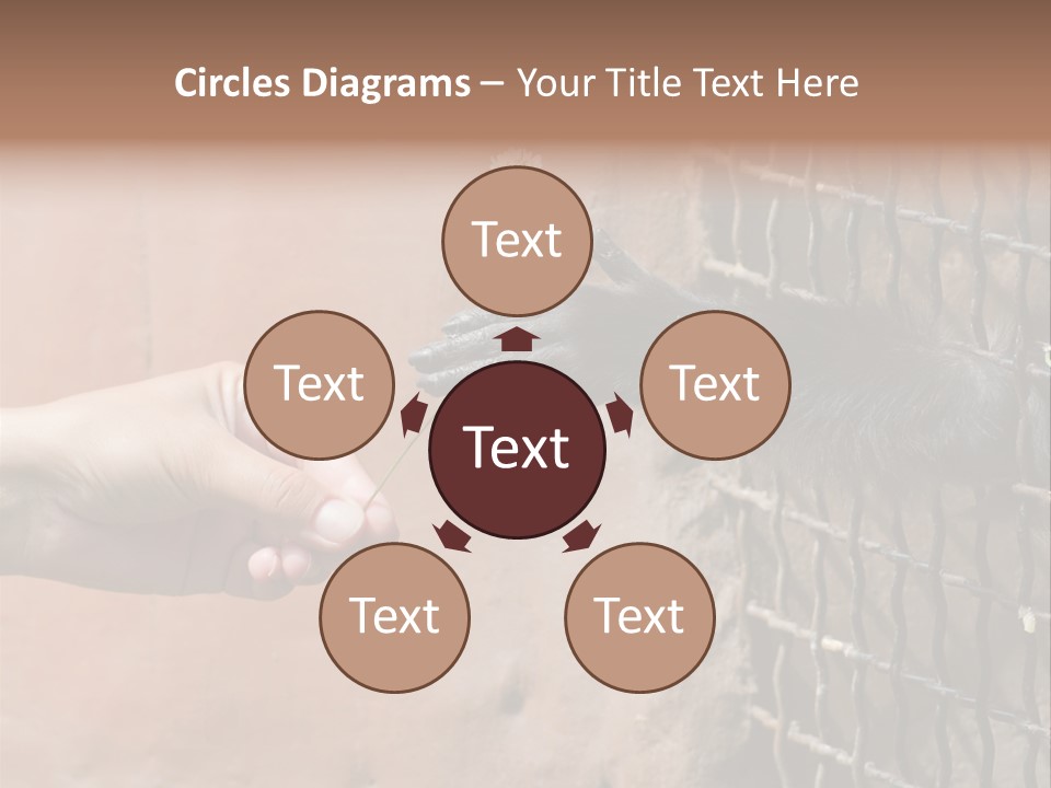 Cage Fur Confidence PowerPoint Template