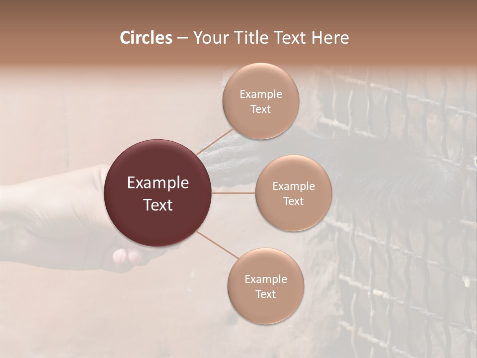 Cage Fur Confidence PowerPoint Template