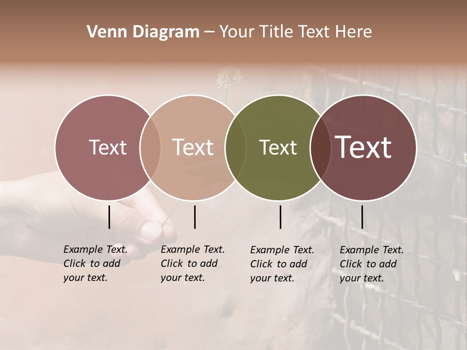 Cage Fur Confidence PowerPoint Template