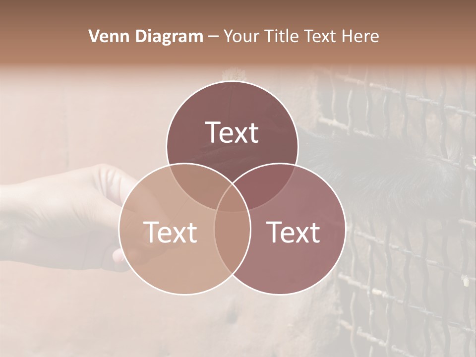 Cage Fur Confidence PowerPoint Template