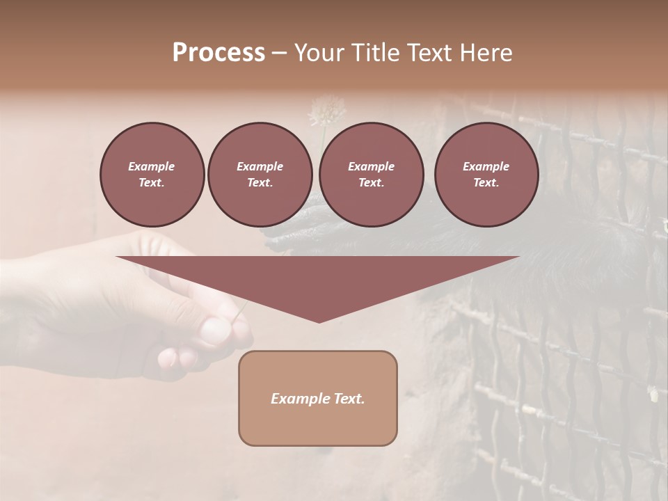Cage Fur Confidence PowerPoint Template