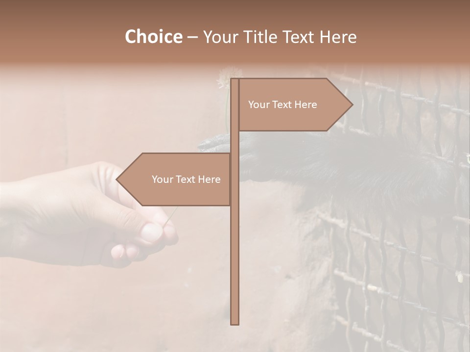 Cage Fur Confidence PowerPoint Template