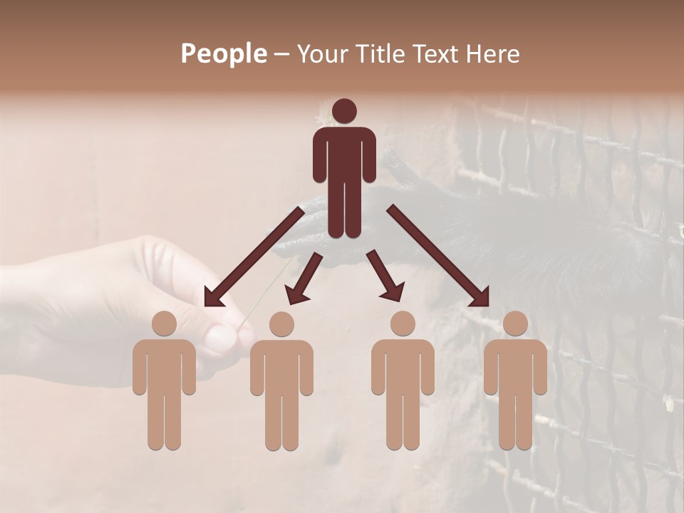 Cage Fur Confidence PowerPoint Template