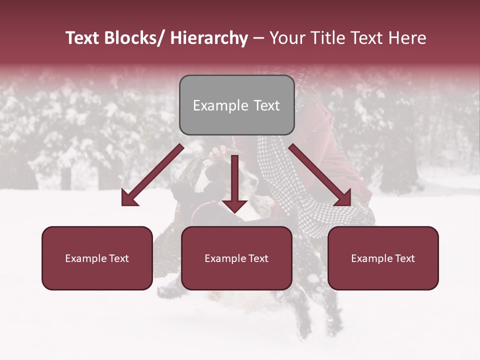 Pets Smile Caucasian PowerPoint Template