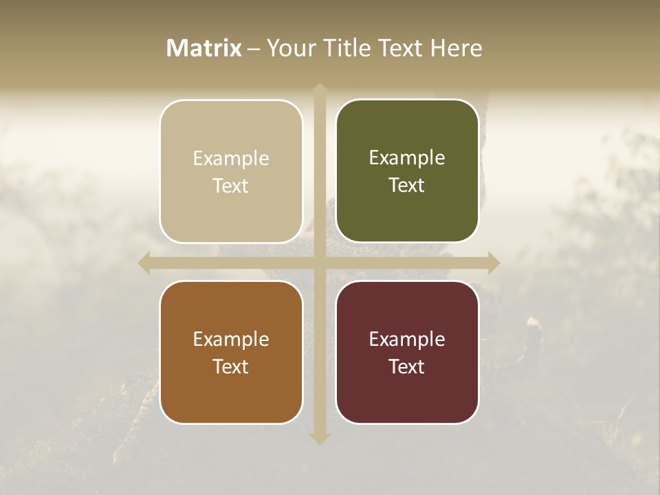 Eco Tourism Relax PowerPoint Template