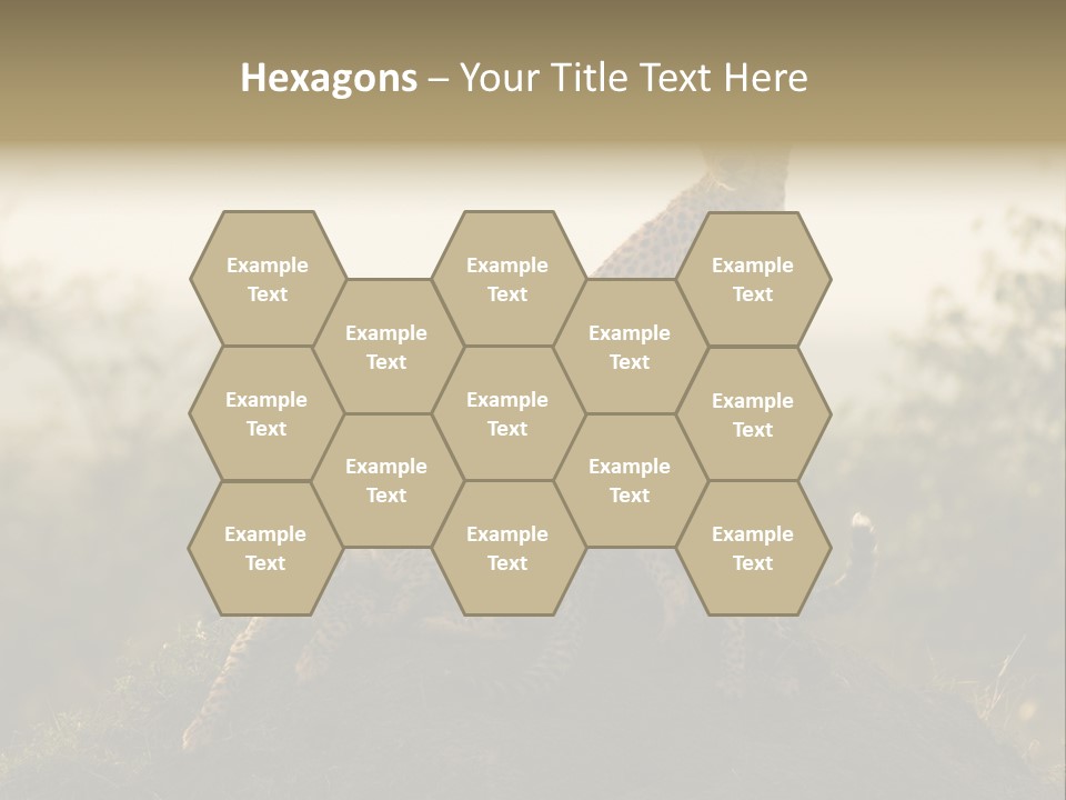 Eco Tourism Relax PowerPoint Template