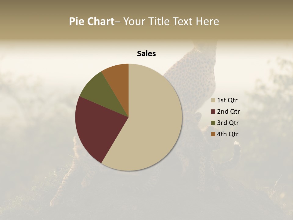 Eco Tourism Relax PowerPoint Template