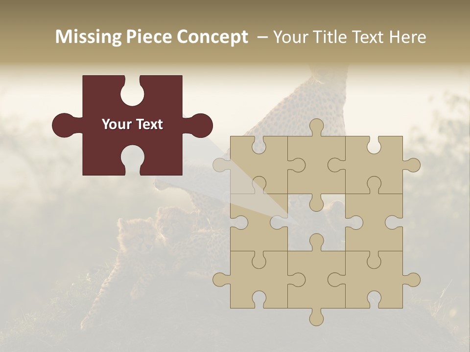 Eco Tourism Relax PowerPoint Template