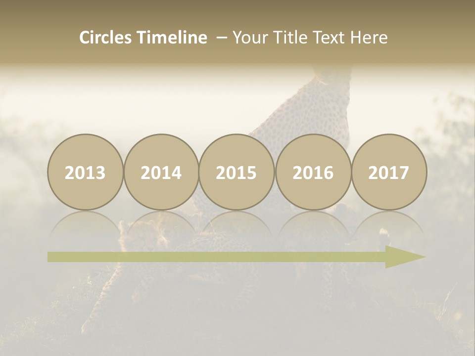 Eco Tourism Relax PowerPoint Template