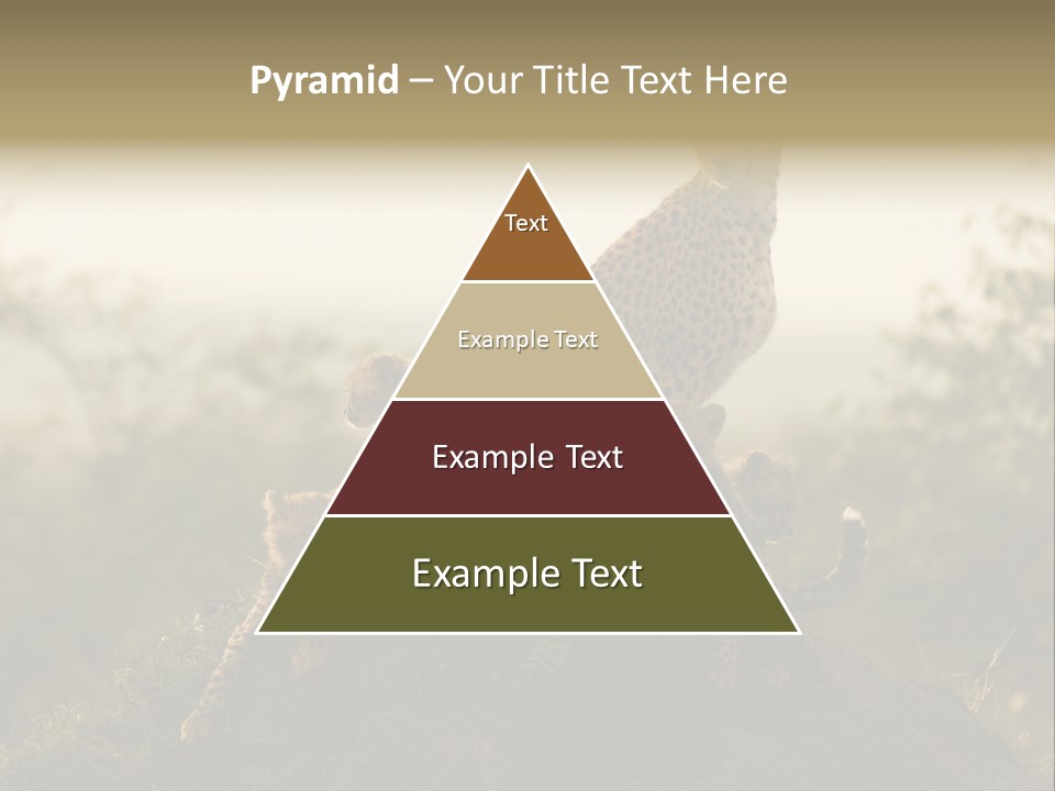 Eco Tourism Relax PowerPoint Template