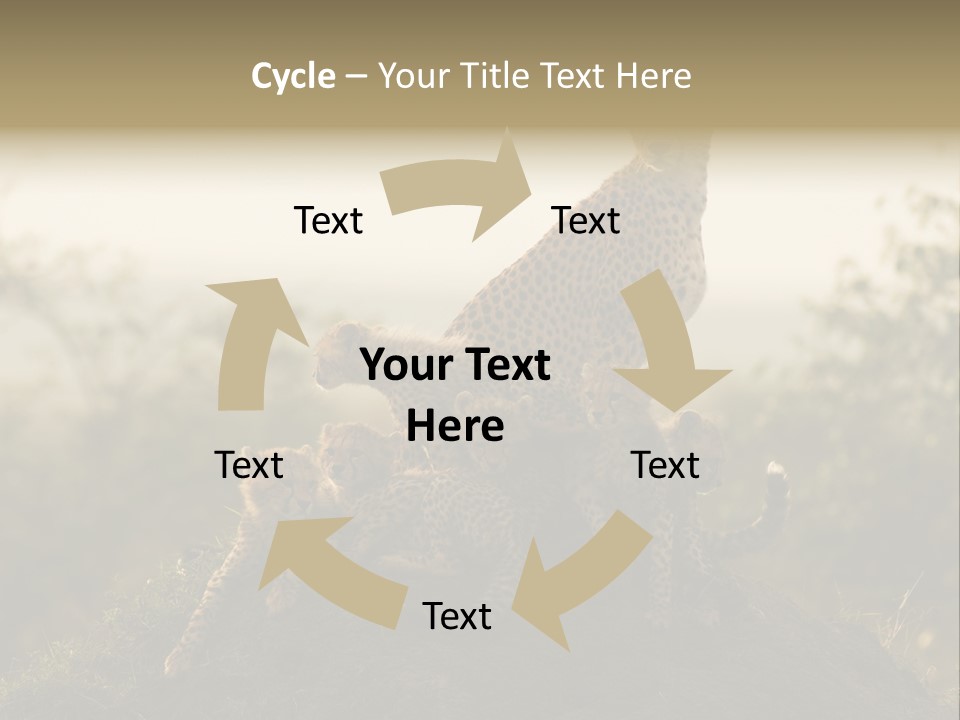Eco Tourism Relax PowerPoint Template