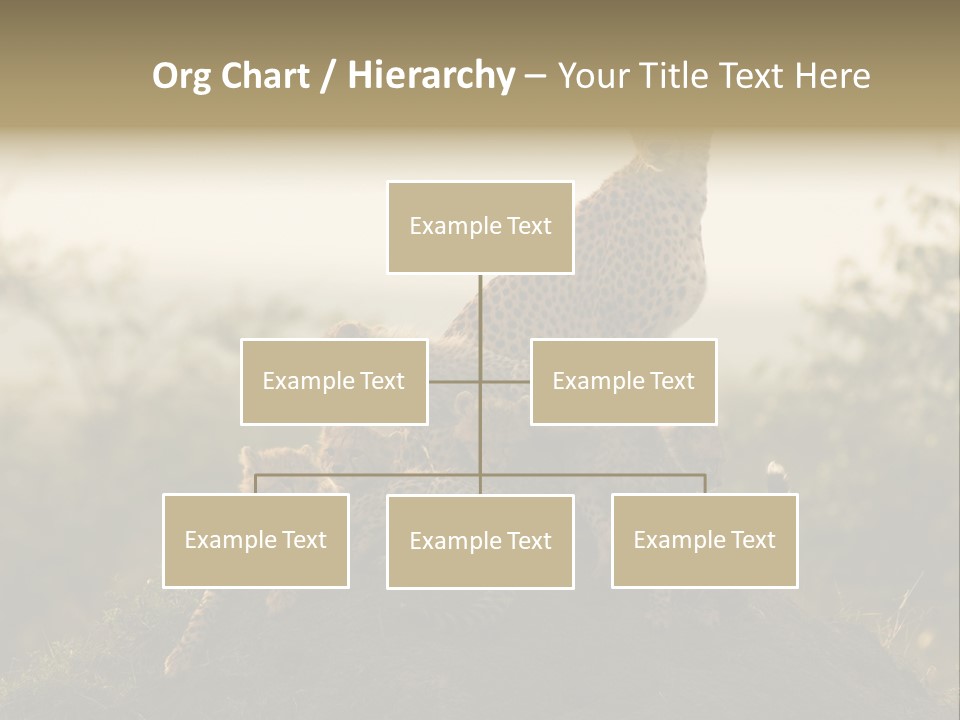 Eco Tourism Relax PowerPoint Template
