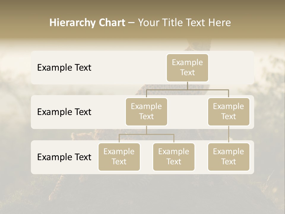 Eco Tourism Relax PowerPoint Template