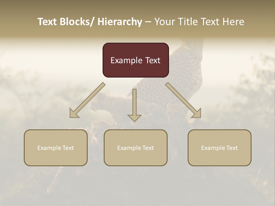 Eco Tourism Relax PowerPoint Template