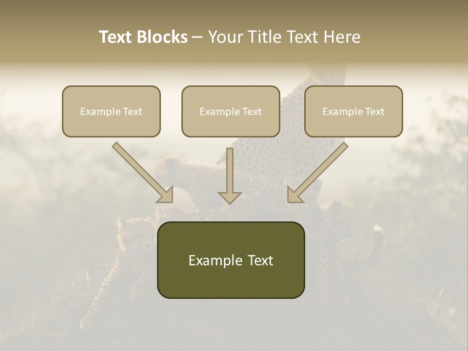Eco Tourism Relax PowerPoint Template