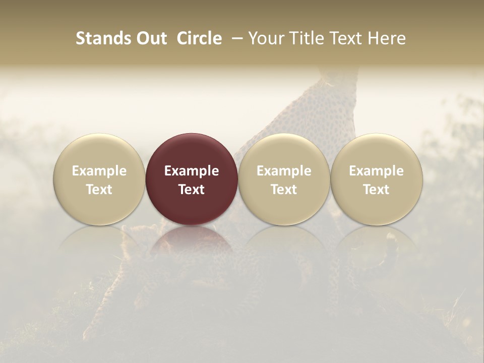 Eco Tourism Relax PowerPoint Template