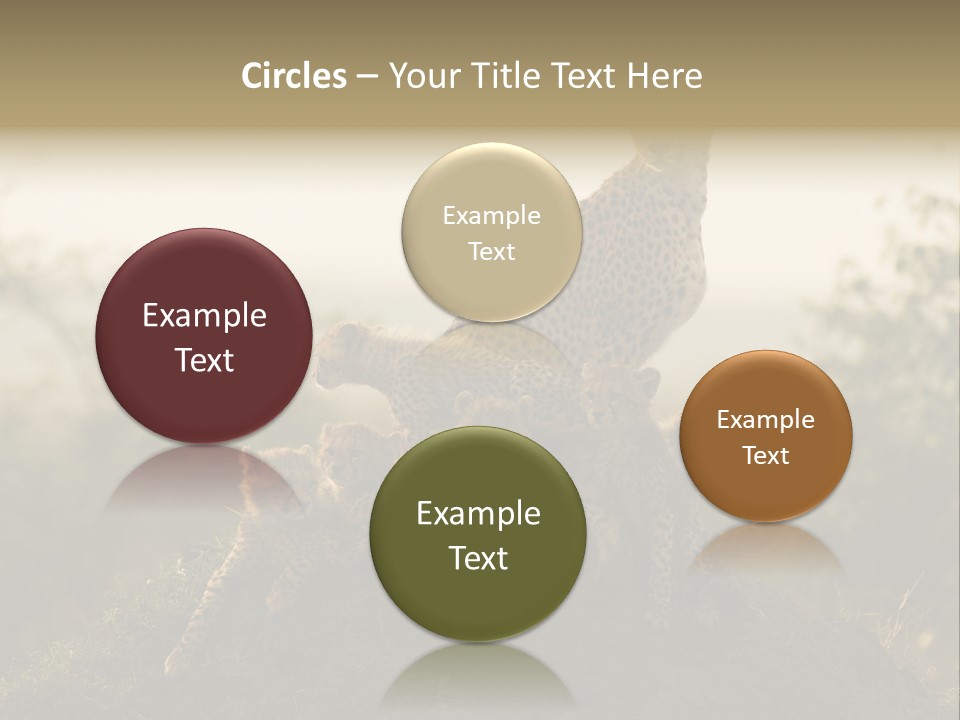 Eco Tourism Relax PowerPoint Template