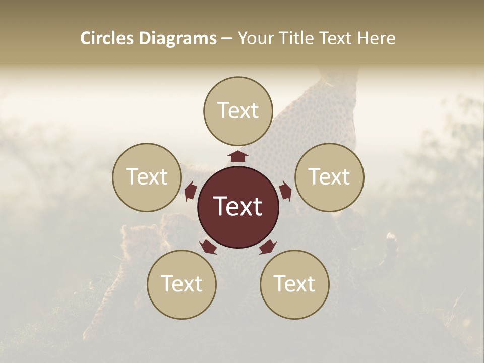 Eco Tourism Relax PowerPoint Template