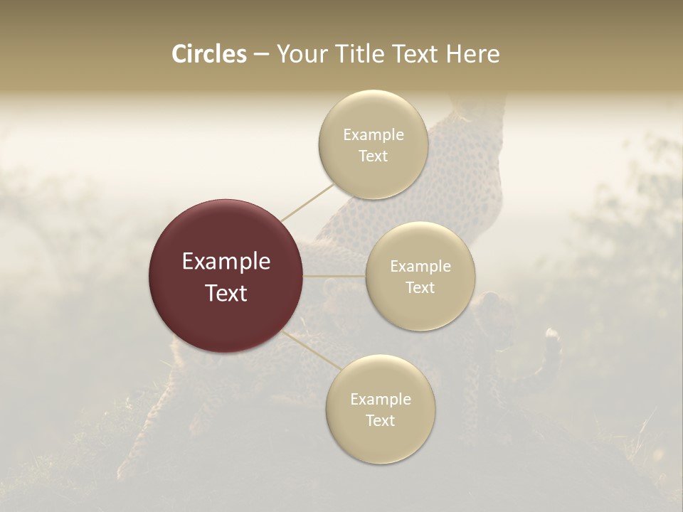 Eco Tourism Relax PowerPoint Template