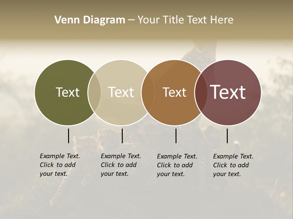 Eco Tourism Relax PowerPoint Template