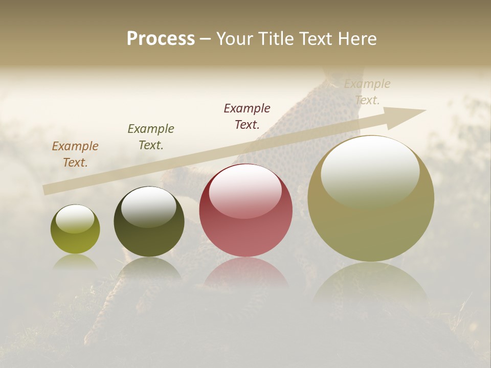 Eco Tourism Relax PowerPoint Template