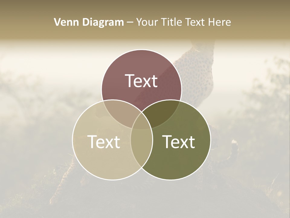 Eco Tourism Relax PowerPoint Template