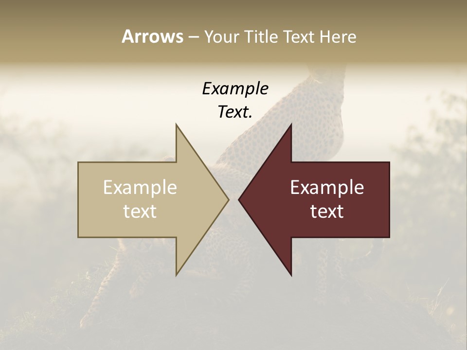 Eco Tourism Relax PowerPoint Template