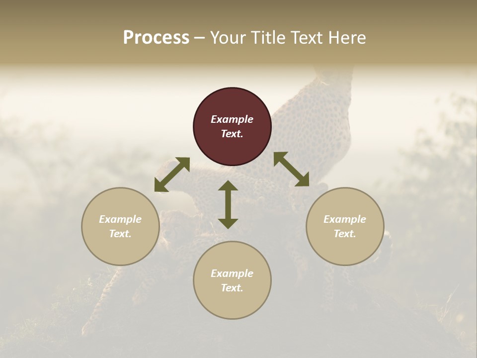 Eco Tourism Relax PowerPoint Template